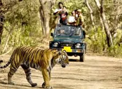 Tadoba Tour