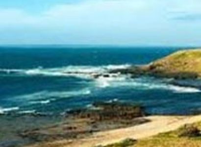 Melbourne Family Tour