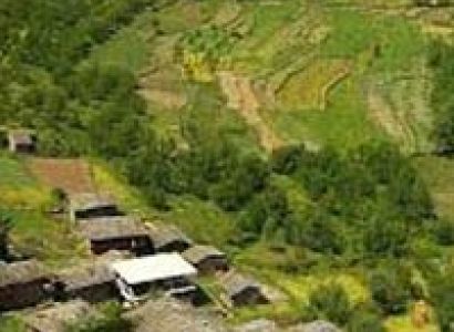 Honeymoon Package Manali (03 Nights / 04 Days)