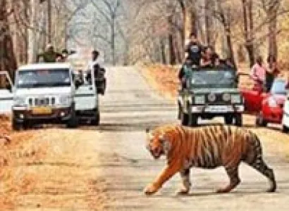 Kanha, Bandhavgarh, Jabalpur Tour Package