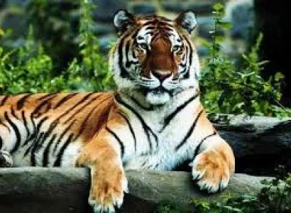 Chhattisgarh , Madhya Pradesh Tour Package