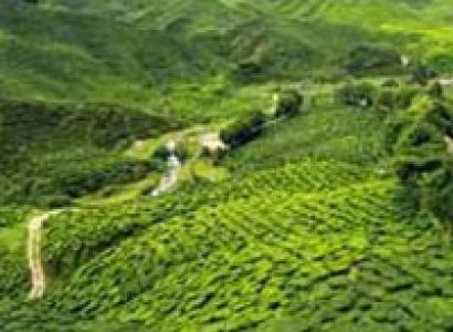 Explore North East Tour