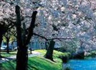 Explore New Zealand Tour