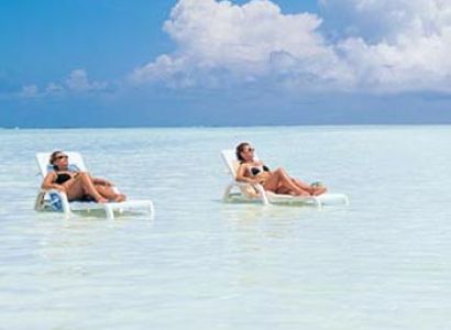 Zanzibar Vacation Safari Tour