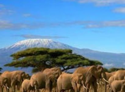 11days 10nights Tanzania & Zanzibar Safari Tour