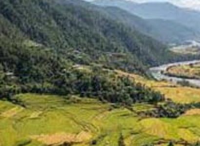 Phuentsholing-Thimphu-Paro Tour