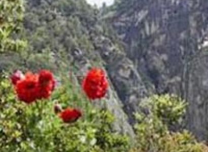 Glimpse of Bhutan Tour