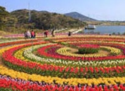 Luxurious Getway To Srinagar With Taj Tour