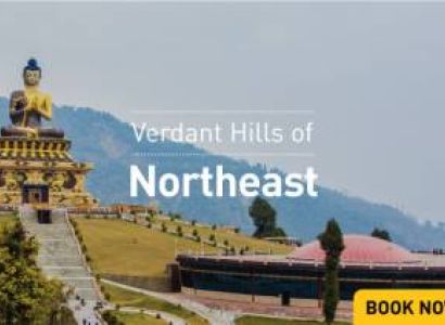 1Night / 2Days Shillong Cherrapunji Tour Package