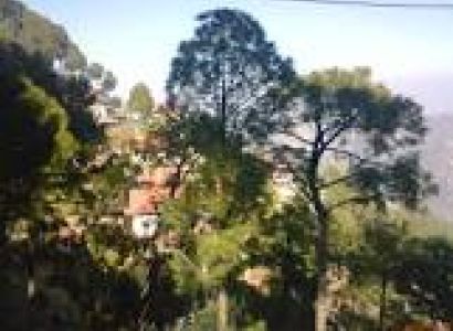 Kausauli-Solan Romantic Package