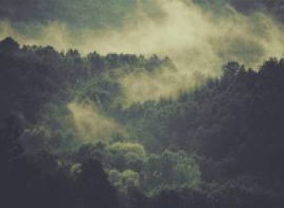 1 nights 2 days Himachal Tour