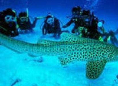 06 Night/07 Days (5N Port Blair +1N Havelock)Tour