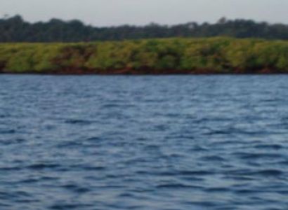 Honeymoon Delight Package