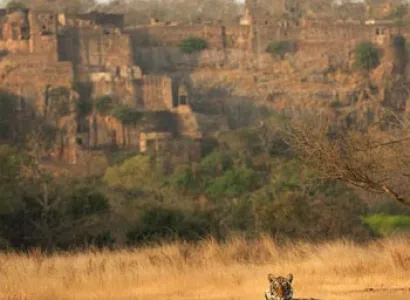 03 Days Ranthambhore Tour