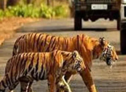 Jim Corbett with Nainital Tour