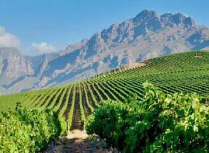 Full day Cape Winelands trike tour