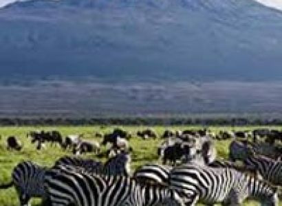 7 Days In Kenya And Tanzania - Wildlife Special Package