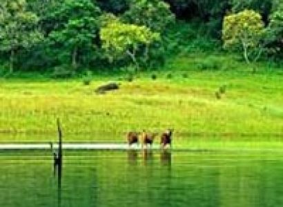 Kerala House  Boat  Tour