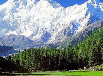 Discover Kashmir Tour