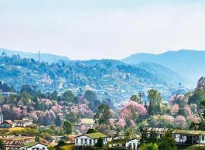 Amazing North East Guwahati / Shillong / Cherrapunjee Tour Package 5 Nights /6 Days