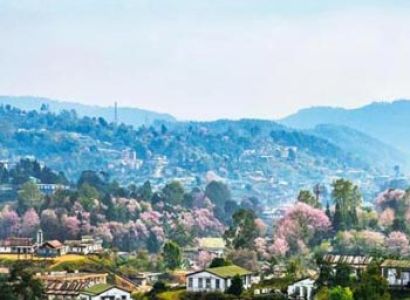 Amazing North East Guwahati / Shillong / Cherrapunjee Tour Package