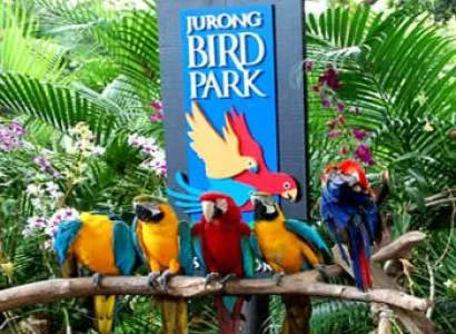 Singapore-Thailand Tour