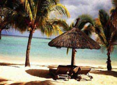 Amazing Mauritius Tour