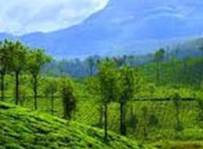 Short Escape to Wayanad Tour