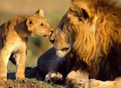 Exciting Gujarat And Diu Tour