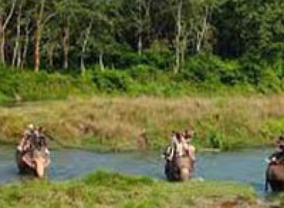 Rafting And Wildlife Tour