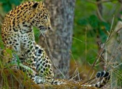 Jabalpur to Khajuraho Tour Package