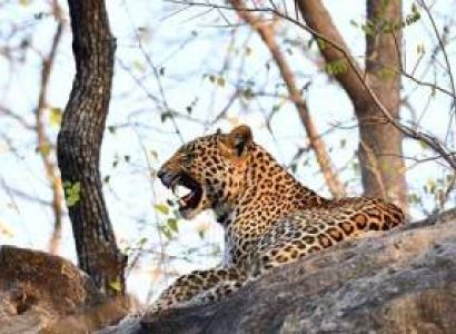 Jabalpur to Kanha Tour Package