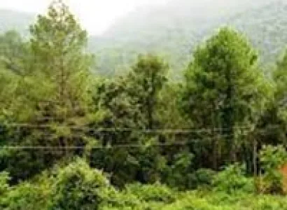 7 Nights / 8 Days Honeymoon Tour