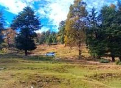 8 Days Kumaon Tour Stay Nainital Kausani Munsyari Chaukori Binsar Mukteshwar