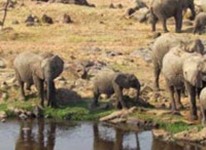 Tarangire, Serengeti, Ngorongoro, Lake Manyara Tour