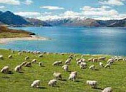 New Zealand 09 TO 13 Days Tour