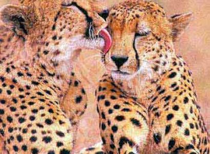 South Africa 08Night - 09Days Package