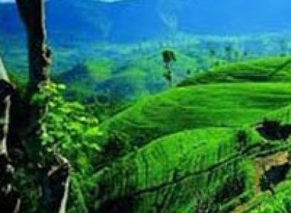 21N Explore Diverse Lanka II Tour