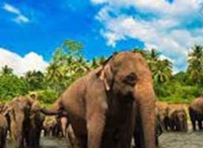 14N Pristine Beaches and Sunshine Package