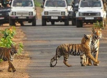 Sri Lanka Heritage Tour