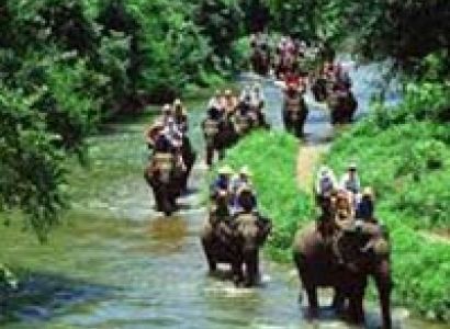 Eastern Arunachal Cultural & Tribal Tour