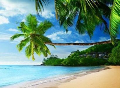 Blissful Andaman Package