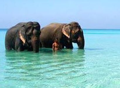 Experience Tour Package