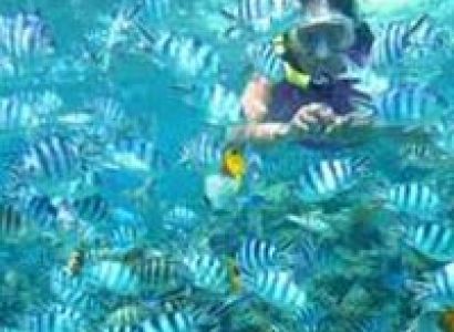 Amazing Port Blair Tour