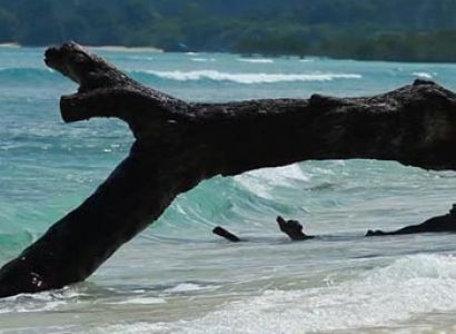 Havelock Three days package