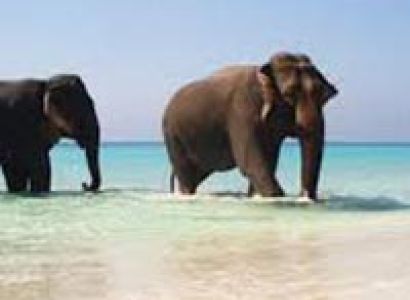 Havelock Beaches Tour
