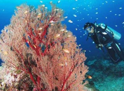 Awesome Andaman Tour | 4 Nights 5 Days