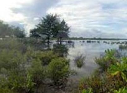 10 Days 9 Night Package