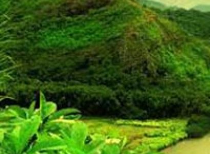 Sikkim - Darjeeling Tour (Duration: 10 Days)