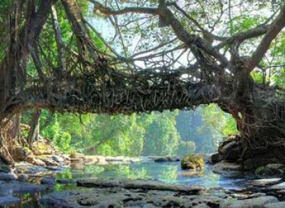 Beautiful Shillong with Guwahati Tour